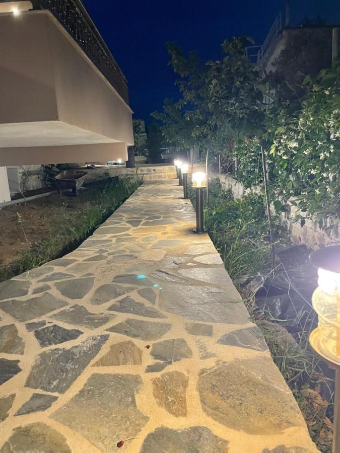 Apartment Pasithea House